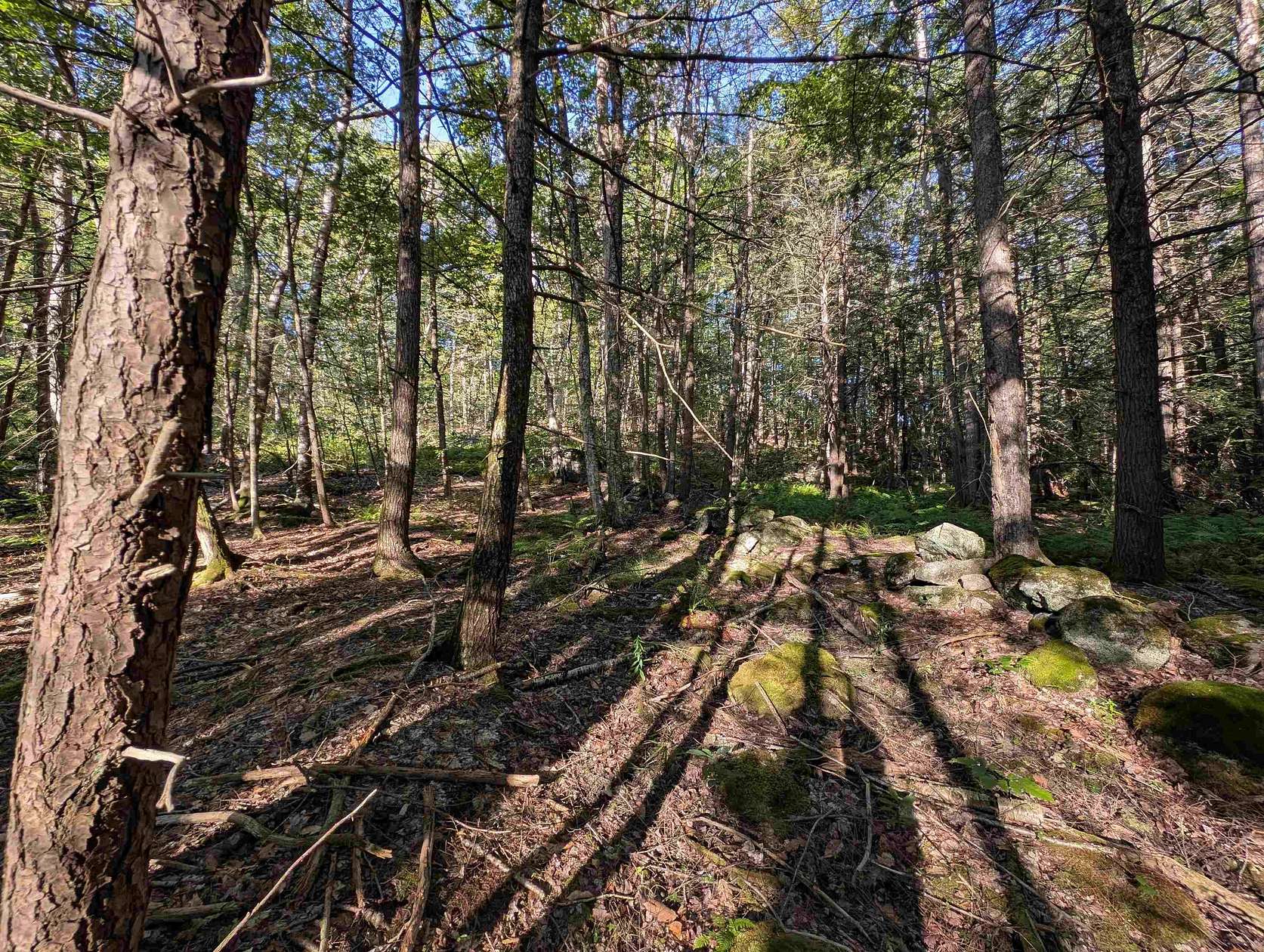 16.5 Acres of Recreational Land for Sale in Francestown, New Hampshire