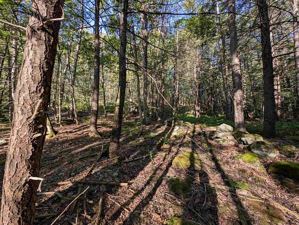 16.5 Acres of Recreational Land for Sale in Francestown, New Hampshire