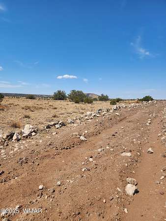 1.58 Acres of Residential Land for Sale in Concho, Arizona