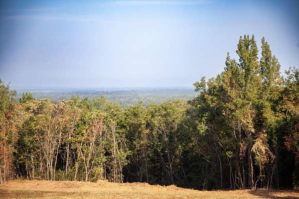 12.6 Acres of Recreational Land for Sale in Dalzell, South Carolina