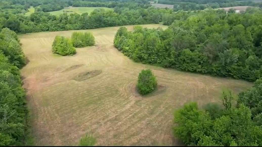 65 Acres of Land for Sale in Ripley, Tennessee