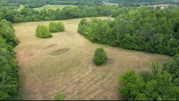 65 Acres of Land for Sale in Ripley, Tennessee