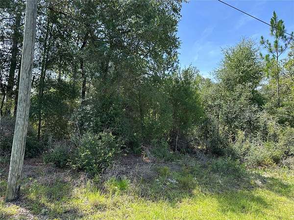 0.41 Acres of Residential Land for Sale in Dunnellon, Florida
