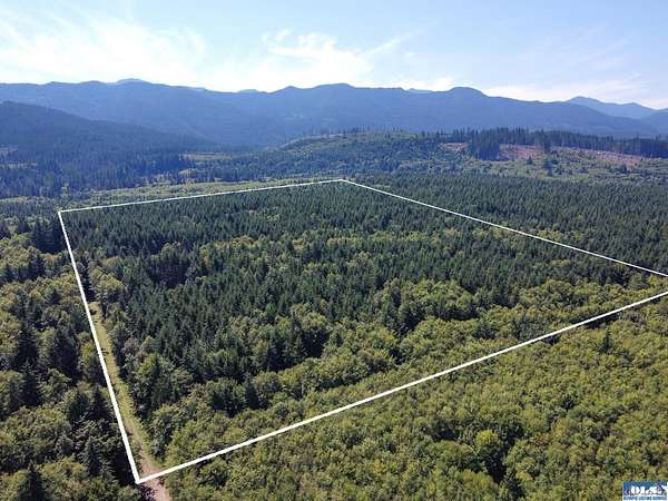 38.2 Acres of Recreational Land for Sale in Port Angeles, Washington