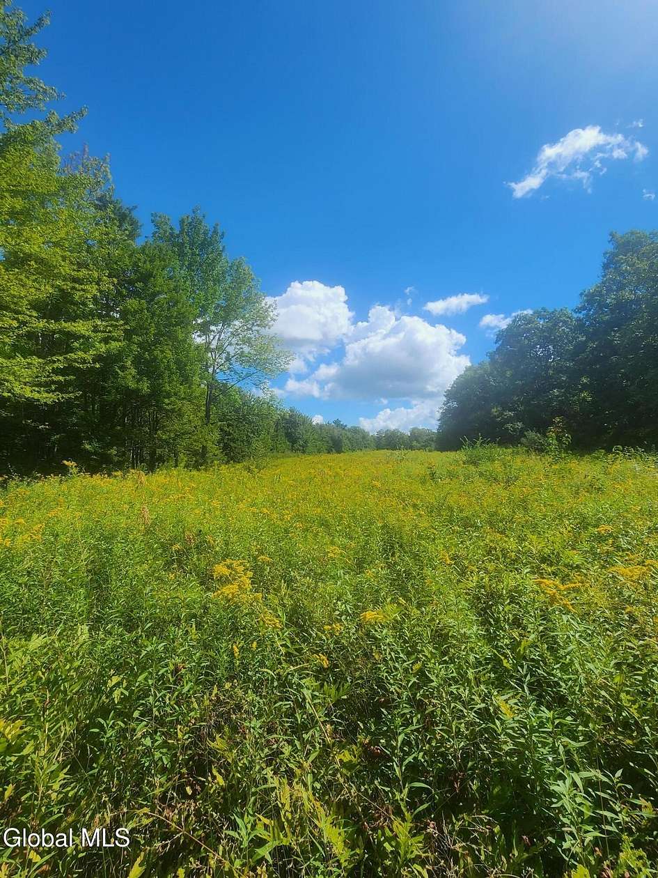 20.9 Acres of Recreational Land for Sale in Duanesburg, New York