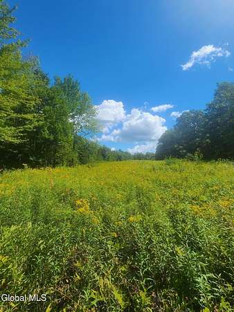 20.9 Acres of Recreational Land for Sale in Duanesburg, New York