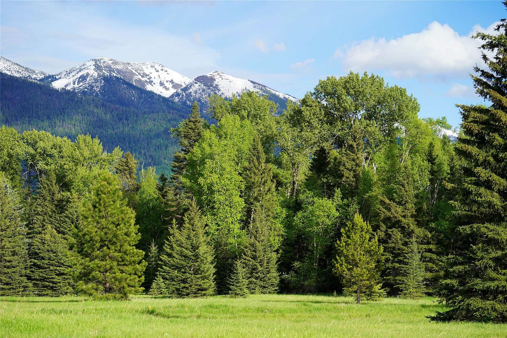 10 Acres of Recreational Land for Sale in Bigfork, Montana