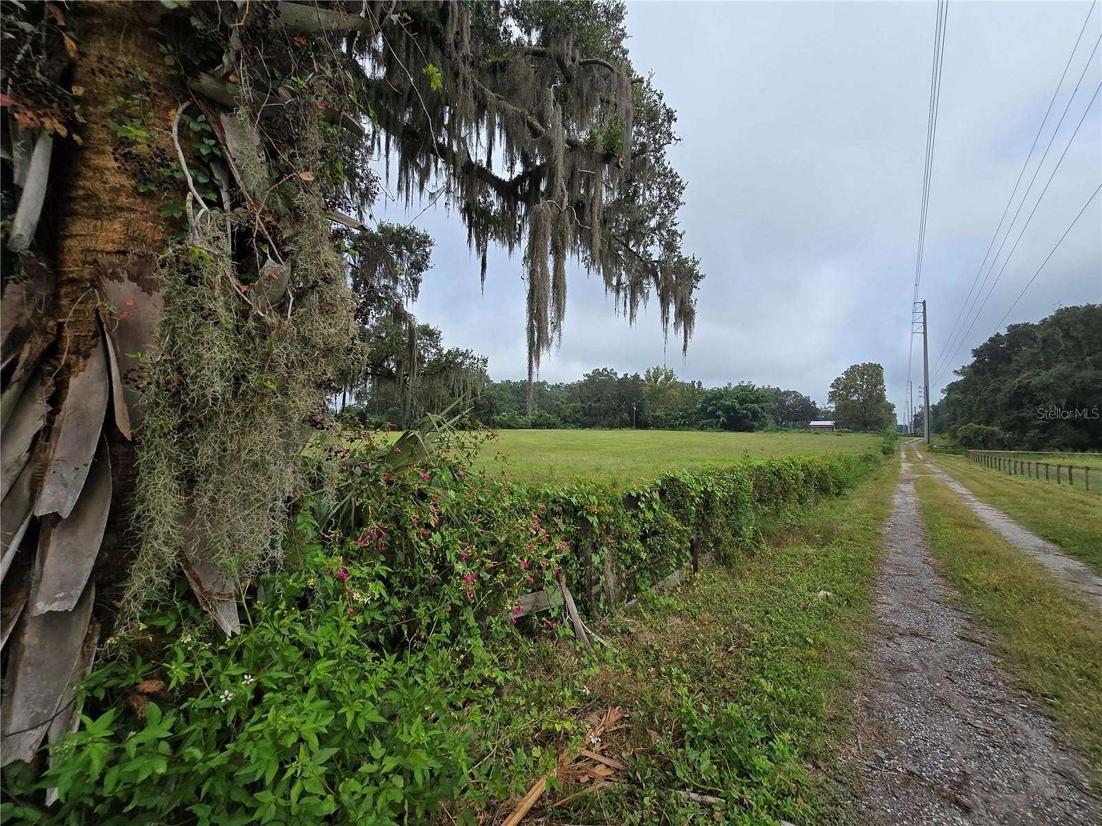 10 Acres of Improved Land for Sale in Reddick, Florida