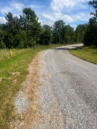 133 Acres of Land for Sale in Lucedale, Mississippi