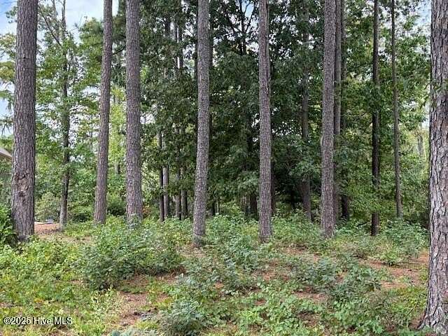 0.75 Acres of Residential Land for Sale in Hertford, North Carolina