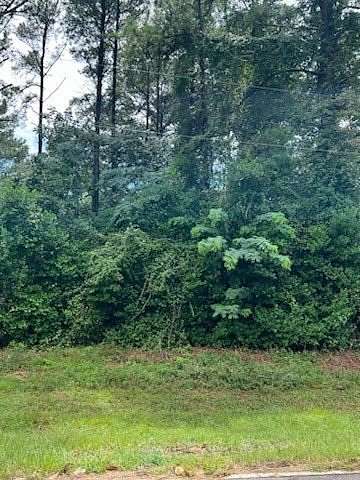 Residential Land for Sale in Cobb, Georgia