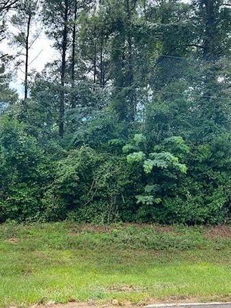 Residential Land for Sale in Cobb, Georgia