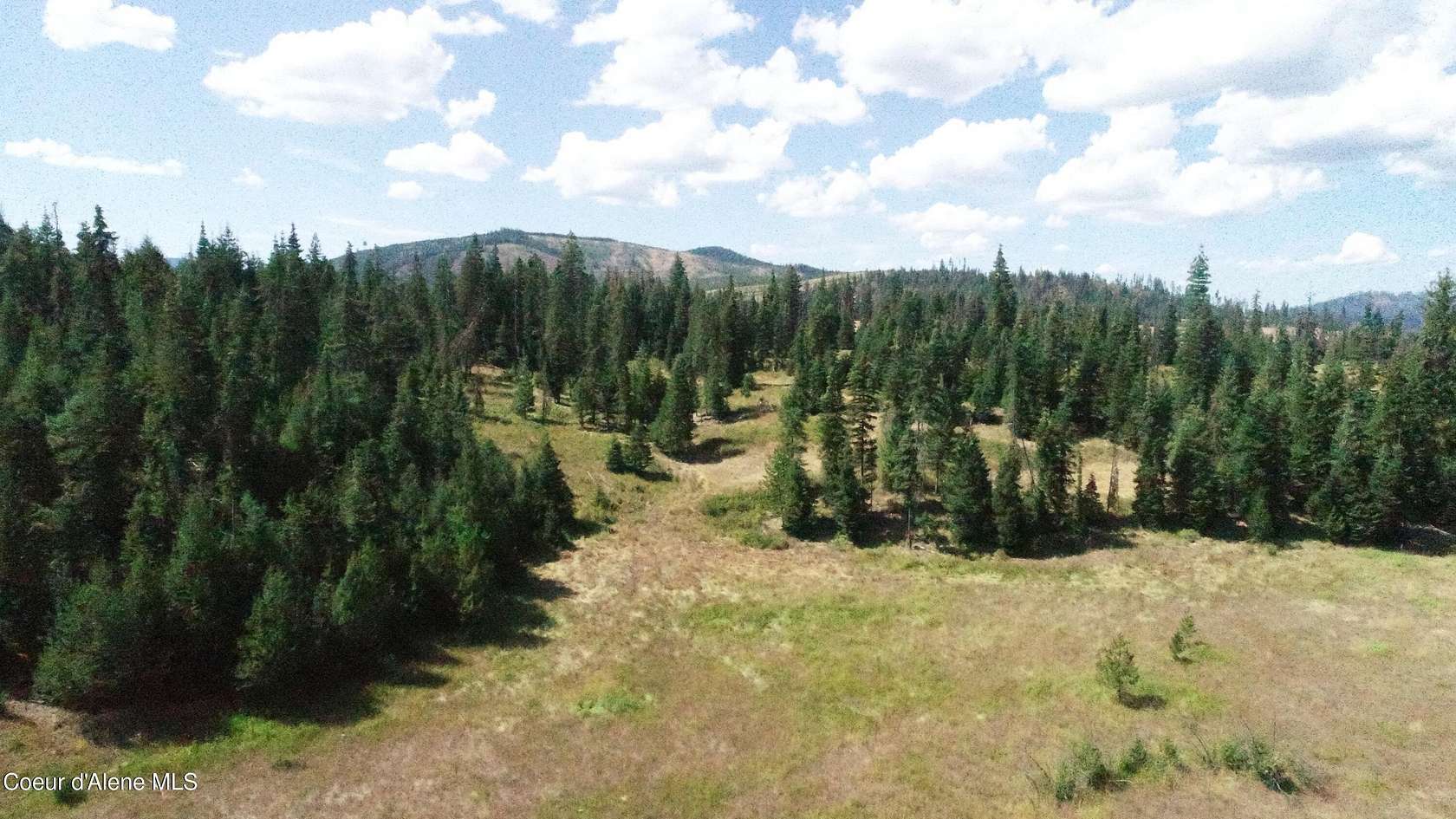 20 Acres of Agricultural Land for Sale in Fernwood, Idaho