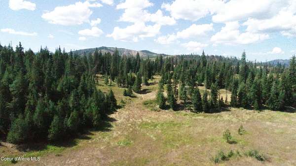 20 Acres of Agricultural Land for Sale in Fernwood, Idaho