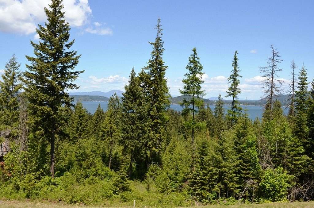0.84 Acres of Residential Land for Sale in Harrison, Idaho
