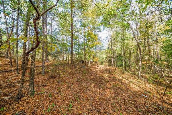 1.26 Acres of Residential Land for Sale in Ellerslie, Georgia