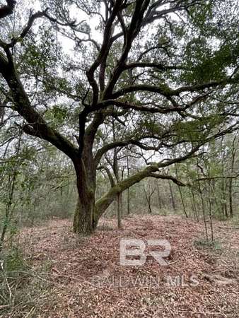 3.3 Acres of Residential Land for Sale in Lillian, Alabama
