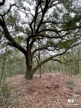3.3 Acres of Residential Land for Sale in Lillian, Alabama