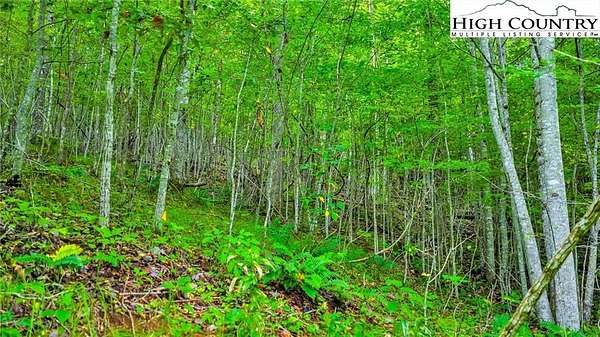 7.46 Acres of Land for Sale in Lansing, North Carolina