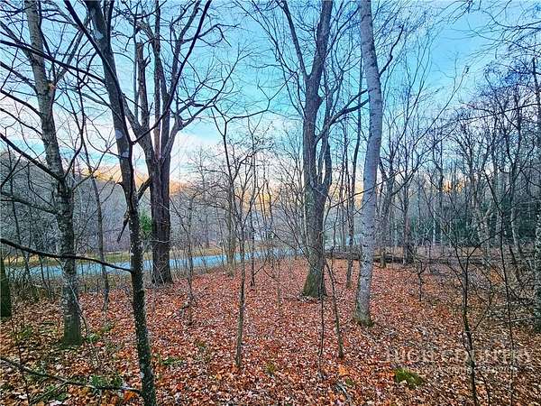 10 Acres of Residential Land for Sale in Todd, North Carolina