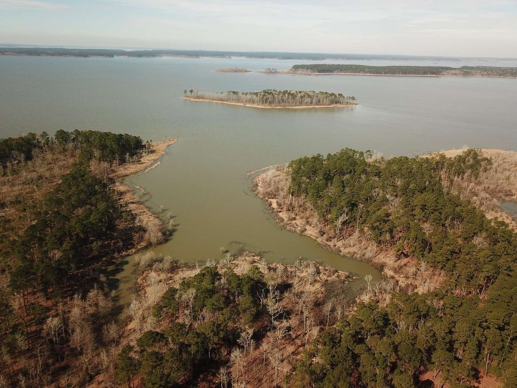 1 Acre of Residential Land for Sale in Brookeland, Texas