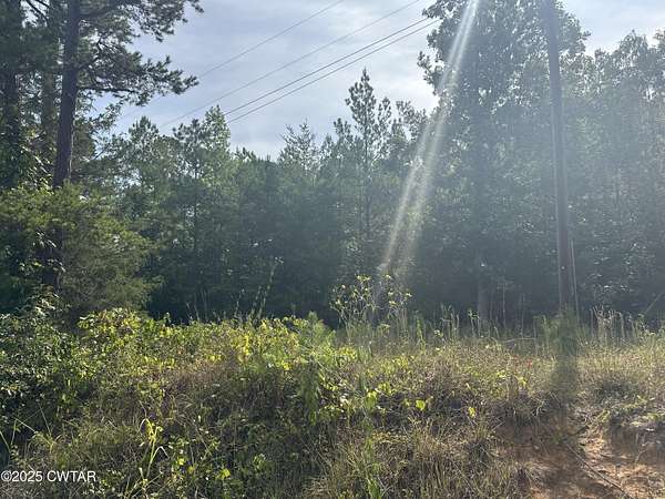 7.44 Acres of Residential Land for Sale in Henderson, Tennessee