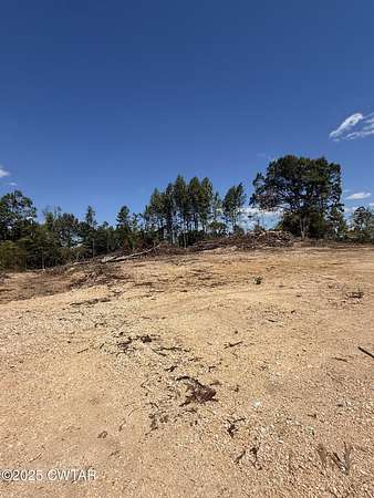 42.9 Acres of Land for Sale in Paris, Tennessee