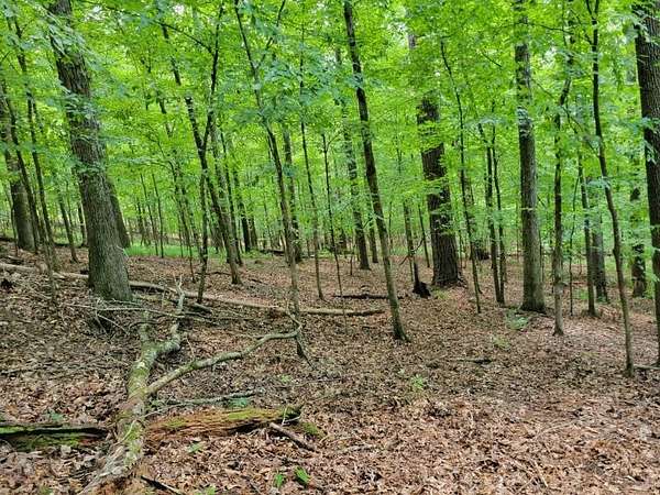 582 Acres of Land for Sale in Fort Gaines, Georgia