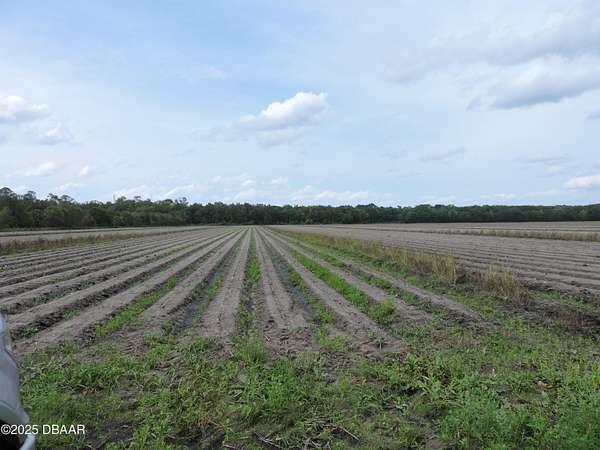 10 Acres of Residential Land for Sale in Bunnell, Florida