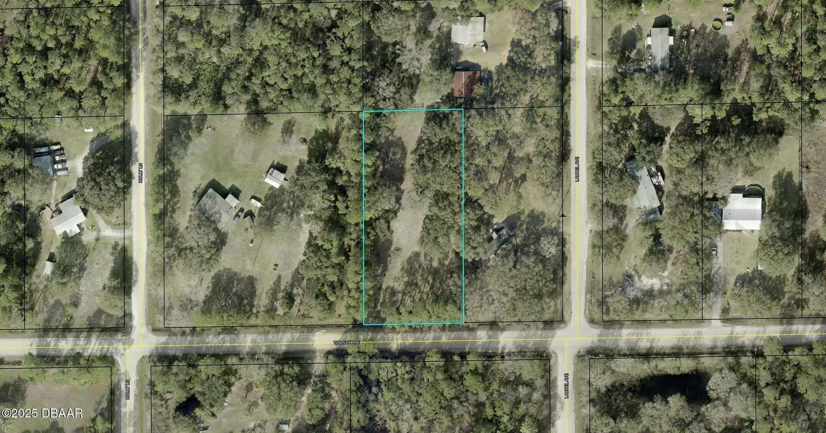 1.1 Acres of Residential Land for Sale in Bunnell, Florida