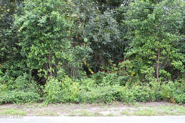 4 Acres of Land for Sale in Ormond Beach, Florida