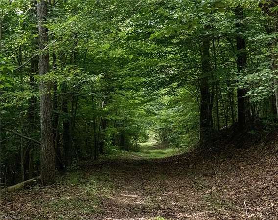 46.4 Acres of Recreational Land for Sale in Danbury, North Carolina