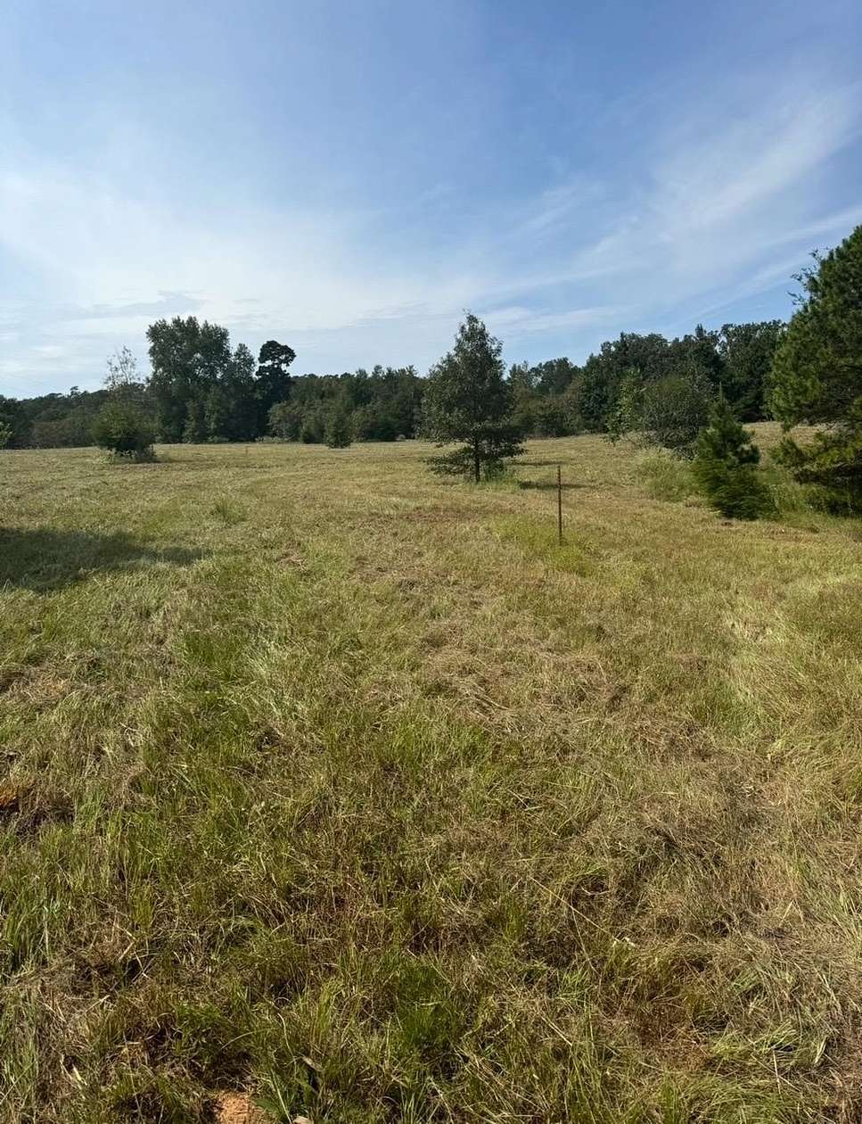 10 Acres of Residential Land for Sale in Big Sandy, Texas