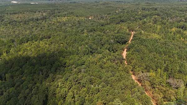 13.3 Acres of Recreational Land for Sale in Jefferson, Texas