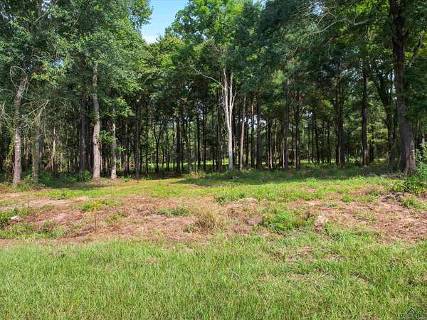 10 Acres of Recreational Land for Sale in Hawkins, Texas