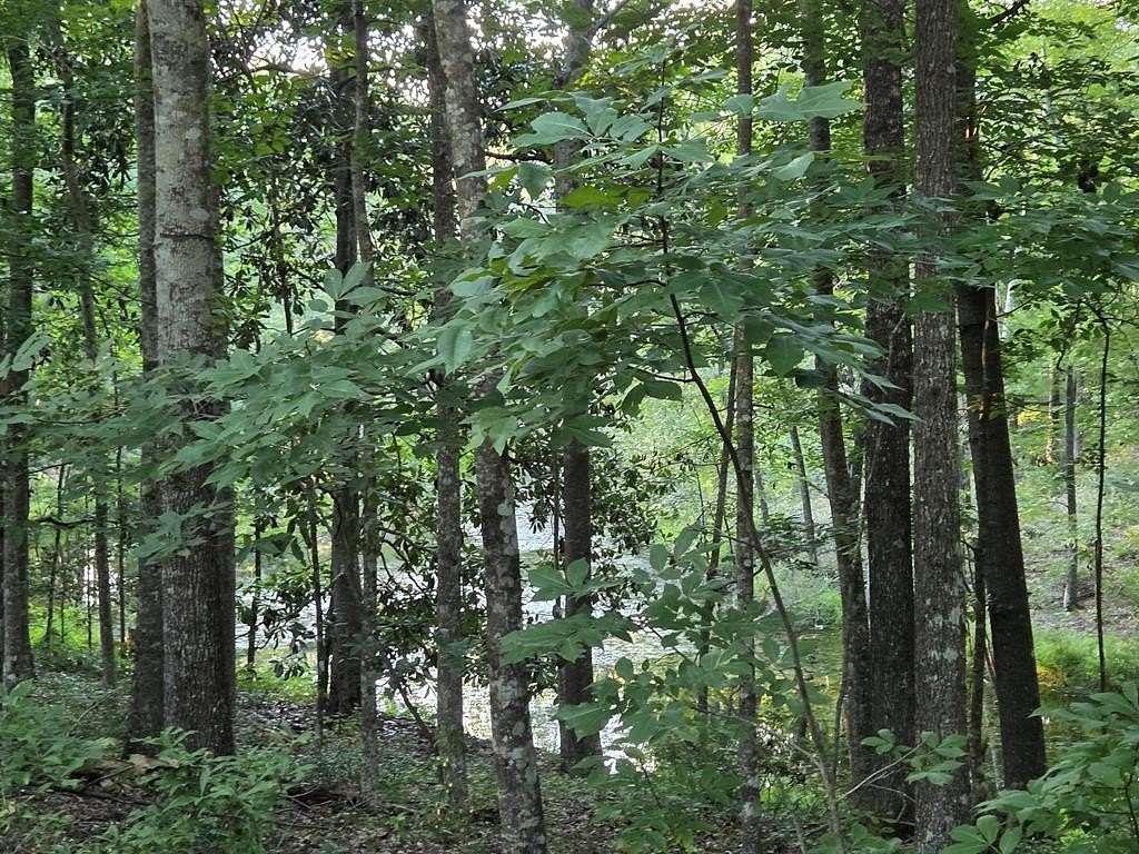 3.79 Acres of Agricultural Land for Sale in Cordele, Georgia