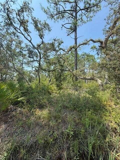 0.75 Acres of Land for Sale in Steinhatchee, Florida