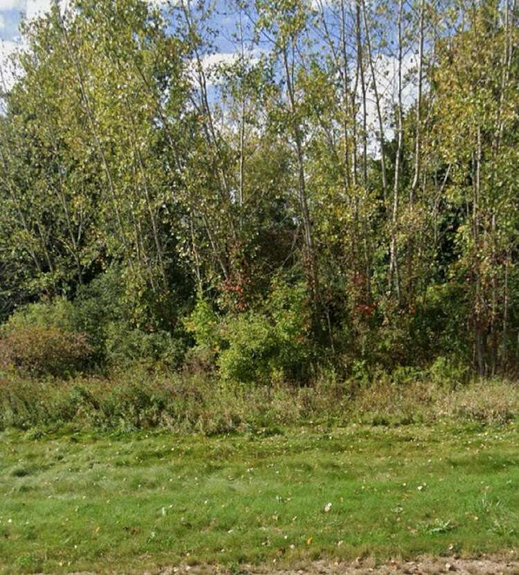 27 Acres of Recreational Land for Sale in Benton Harbor, Michigan