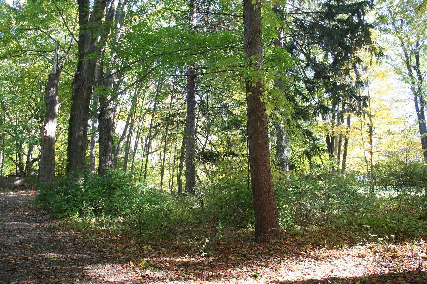 0.45 Acres of Residential Land for Sale in South Haven, Michigan