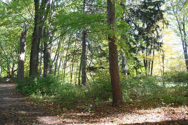 0.45 Acres of Residential Land for Sale in South Haven, Michigan