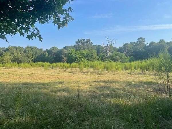 89.5 Acres of Recreational & Residential Land for Sale in Groveton, Texas