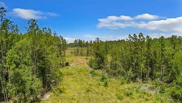 3 Acres of Land for Sale in Jasper, Texas