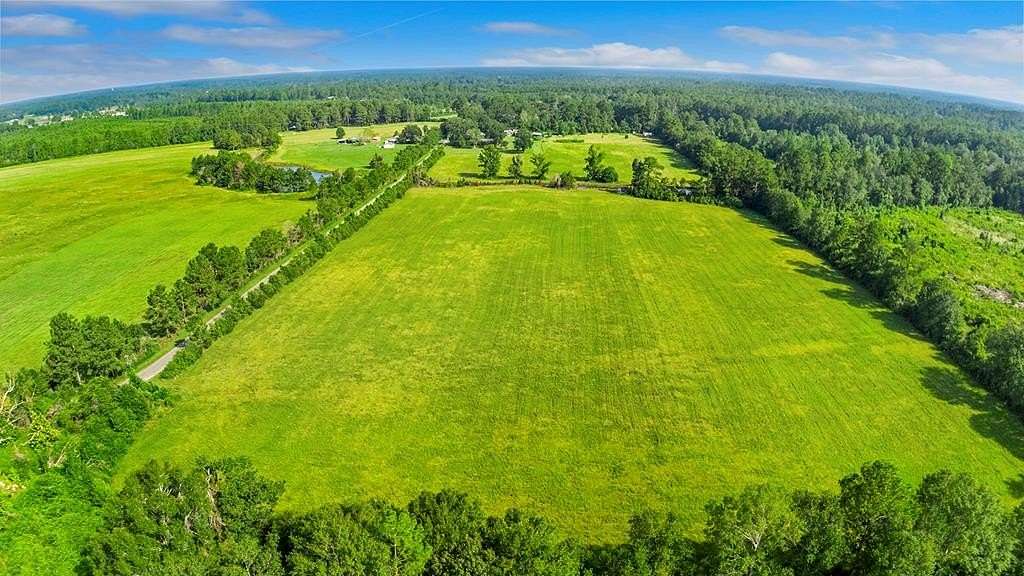 20 Acres of Agricultural Land for Sale in Call, Texas