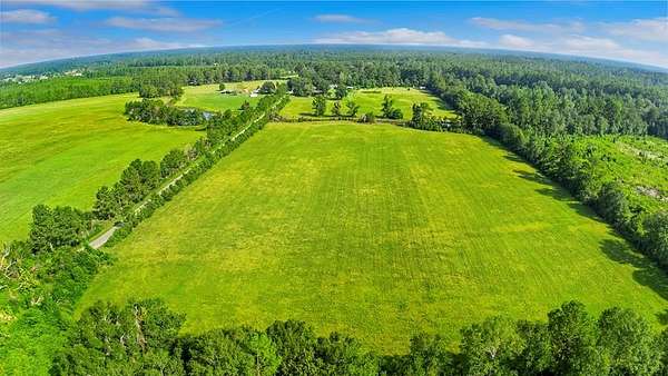 20 Acres of Agricultural Land for Sale in Call, Texas