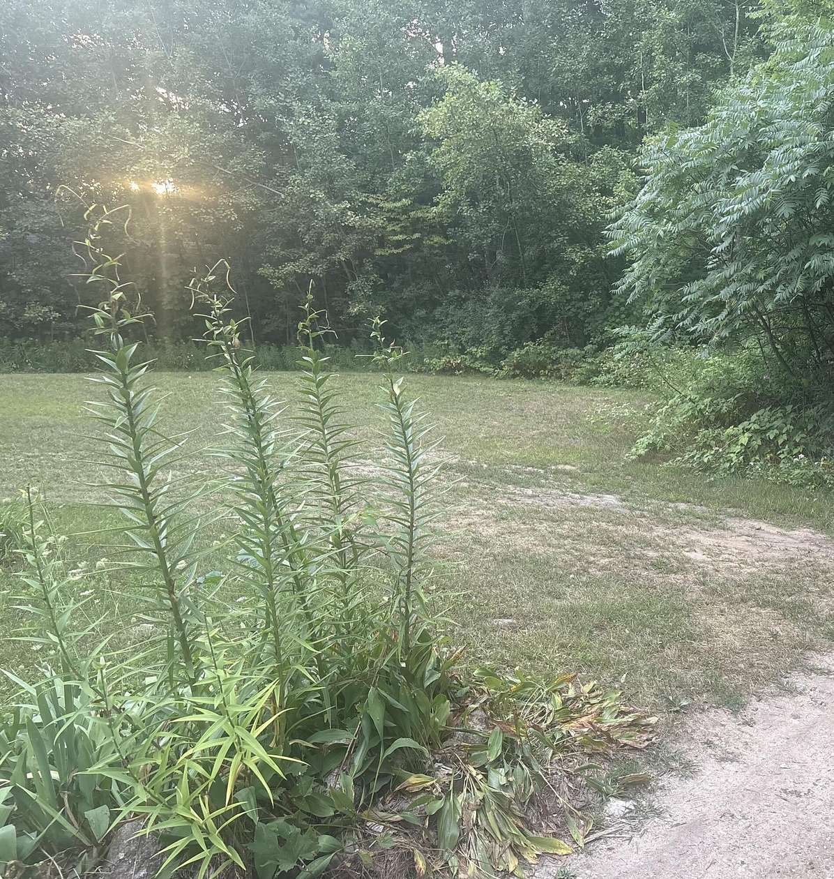 0.09 Acres of Land for Sale in Barryton, Michigan