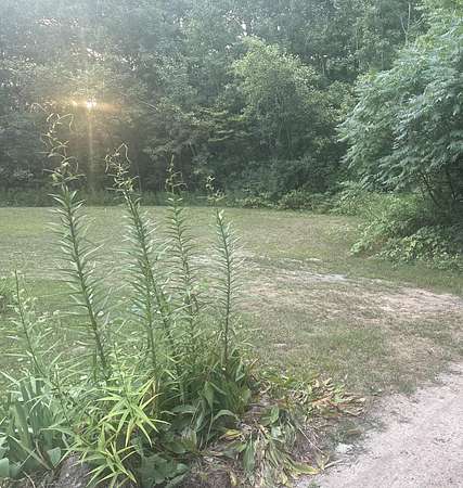 0.09 Acres of Land for Sale in Barryton, Michigan