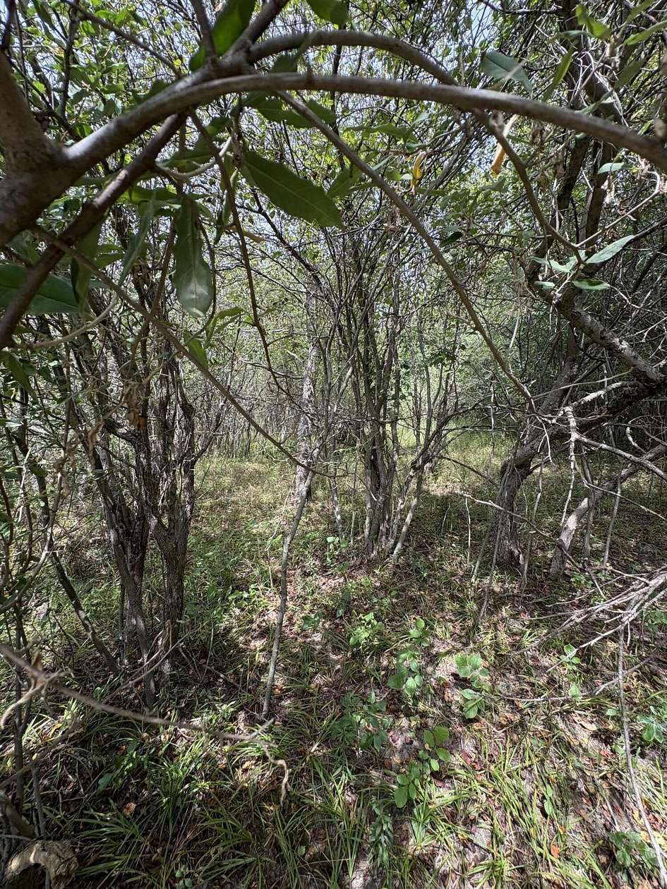 3 Acres of Land for Sale in Evart, Michigan