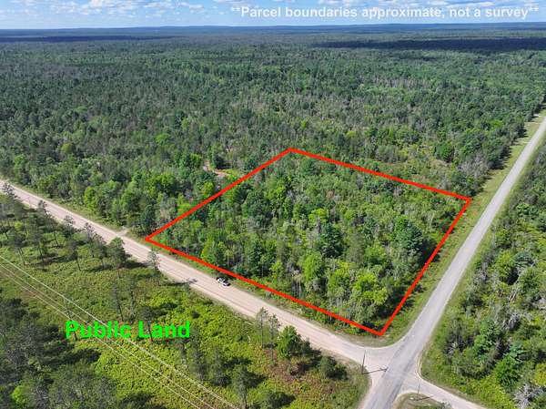 10.1 Acres of Recreational Land for Sale in Idlewild, Michigan