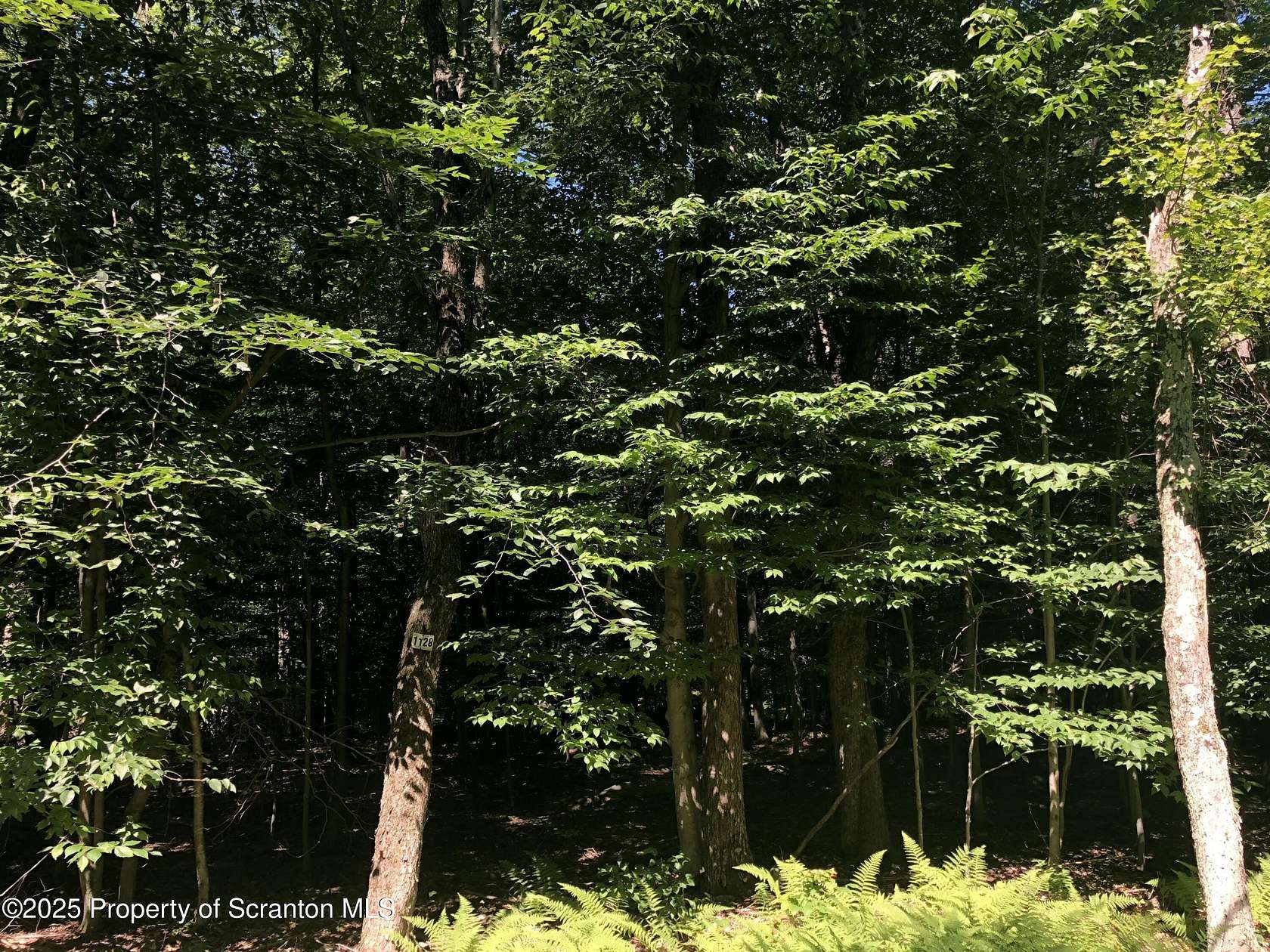 0.45 Acres of Residential Land for Sale in Clifton Township, Pennsylvania