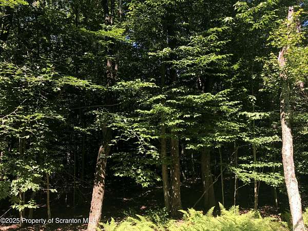 0.45 Acres of Residential Land for Sale in Clifton Township, Pennsylvania